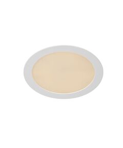 BRICE-LED Built-in Dimmable15W Round D24cm IP40 Wh