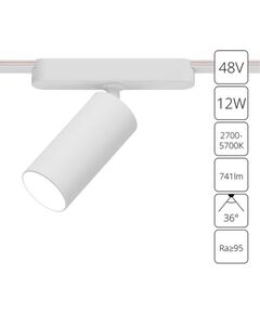 ((A2958PL-1WH СВЕТИЛЬНИК ПОТОЛОЧНЫЙ RAPID 48В 12Вт макс 741kv 2700-6000К 95+ 36° smart ARTE LAMP