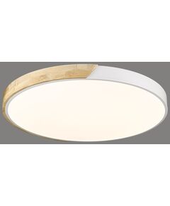 Светильник потолочный VELANTE 445-067-01 [LED, 72W, 3000/4000/6000K]