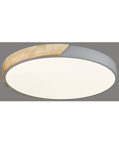 Светильник потолочный VELANTE 445-247-01 [LED, 48W, 3000/4000/6000K]