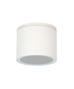 Уличный потолочный светильник Arte Lamp PIAUTOS A1913PF-1WH