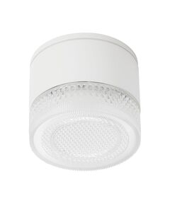 Уличный потолочный светильник Arte Lamp PIAUTOS A1926PF-1WH