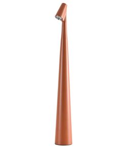 Декоративная настольная лампа Arte Lamp FUSION A3283LT-2BR