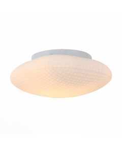 Светильник настенно-потолочный ST-Luce [Белый/Белый E27 1*60W]