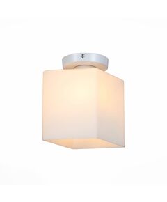 Светильник настенно-потолочный ST-Luce[ Белый/Белый E27 1*60W]