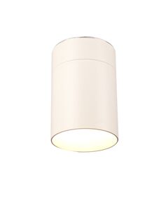 CEILING 1L  WHITE