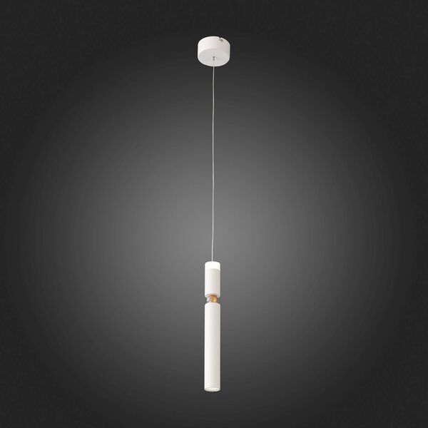 Светильник подвесной ST-Luce TUORE [Белый/Белый LED 1*6W]