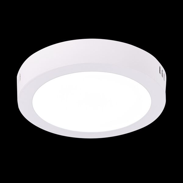 ST112.532.12 Светильник настенно-потолочный Белый LED 1*12W 3000K 715Lm Ra80 120° IP20 D160xH28 90-2