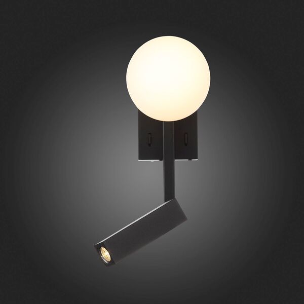 Настенный светодиодный светильник ST Luce Botelli [Черный/Белый LED 2*1+4W]