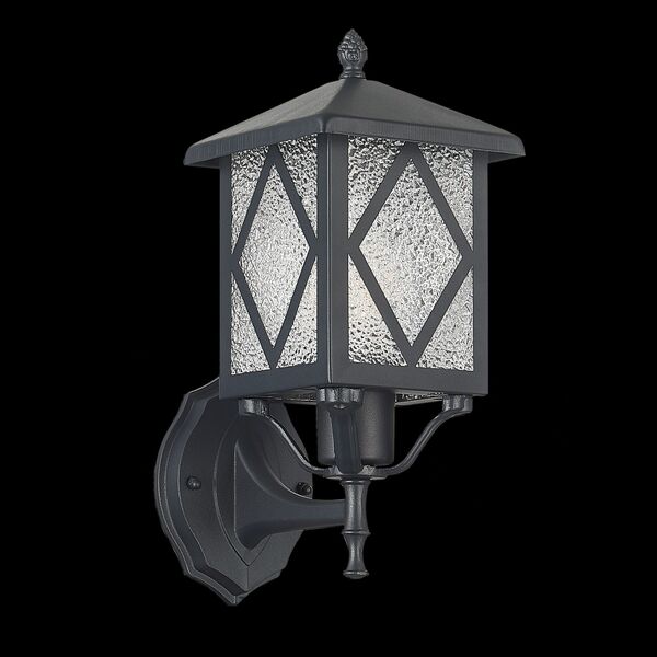SL084.401.01 Светильник уличный настенный ST-Luce Черный/Черный, Прозрачный E27 1*60W