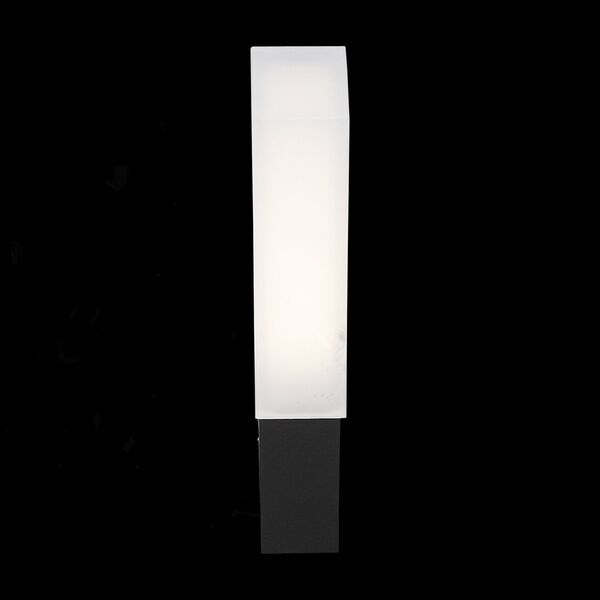 Светильник уличный настенный ST-Luce Posto [Черный/Белый LED 2*2W]