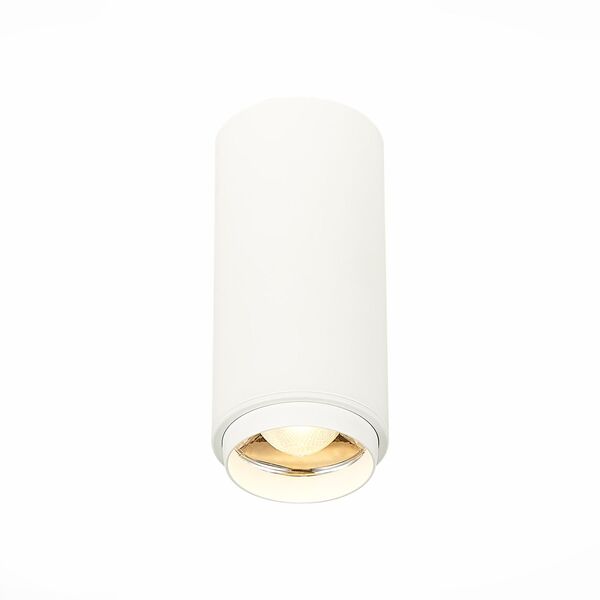 ST600.532.10 Светильник потолочный Zoom Белый LED 1*10W 3000K 1 000Lm Ra>80 15-60° IP20 D59xH130 170
