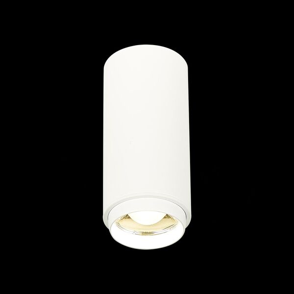 ST600.542.10 Светильник потолочный Zoom Белый LED 1*10W 4000K 1 000Lm Ra>80 15-60° IP20 D59xH130 170