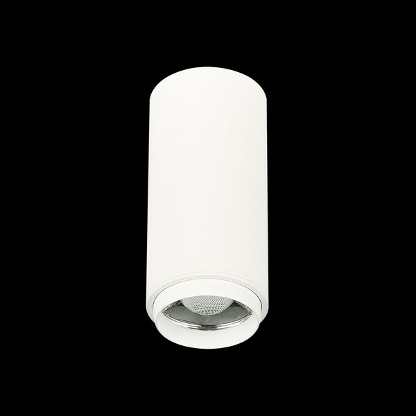 ST600.542.10 Светильник потолочный Zoom Белый LED 1*10W 4000K 1 000Lm Ra>80 15-60° IP20 D59xH130 170