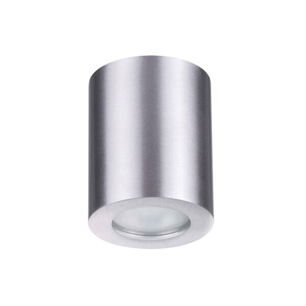 AQUANA ODL18 119 [матовый алюминий Потолочный накладной светильник IP44 GU10 50W 220V]