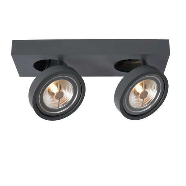 NENAD Spot AR111 2x10W 33/12/8cm Grey