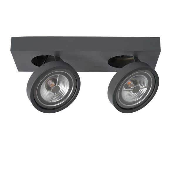 NENAD Spot AR111 2x10W 33/12/8cm Grey