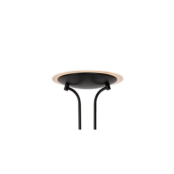 CHAMPION-LED  Reading Lamp 20W+4W H180cm 1600+320L