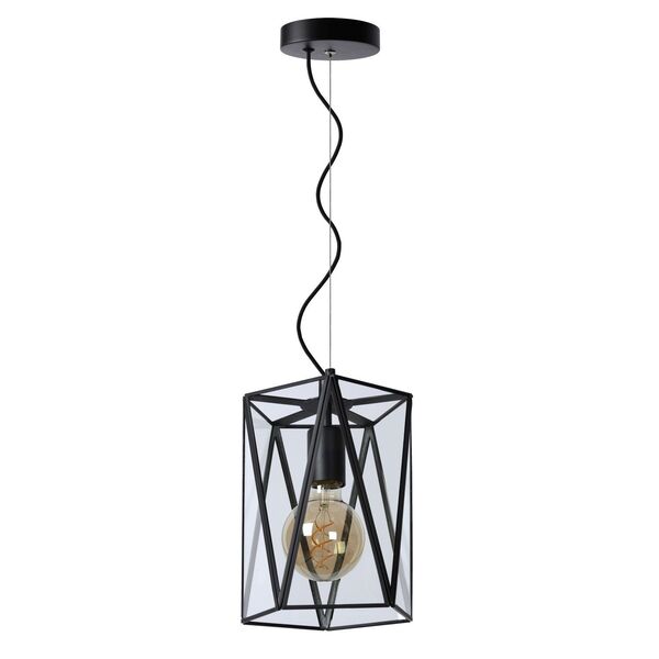 FERN Pendant E27/60W Ø20cm H25cm Black/Glass