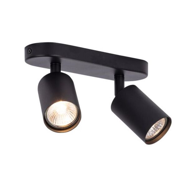 ((СВЕТИЛЬНИК ПОТОЛОЧНЫЙ AQUARIUS GU10 * 2 35Вт IP 20  ARTE LAMP
