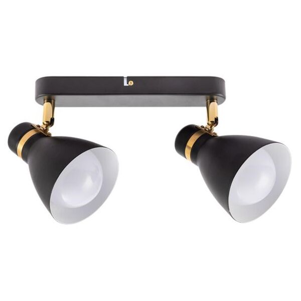 ((СВЕТИЛЬНИК ПОТОЛОЧНЫЙ FAFNIR E27 * 2 40Вт IP 20 <> ARTE LAMP