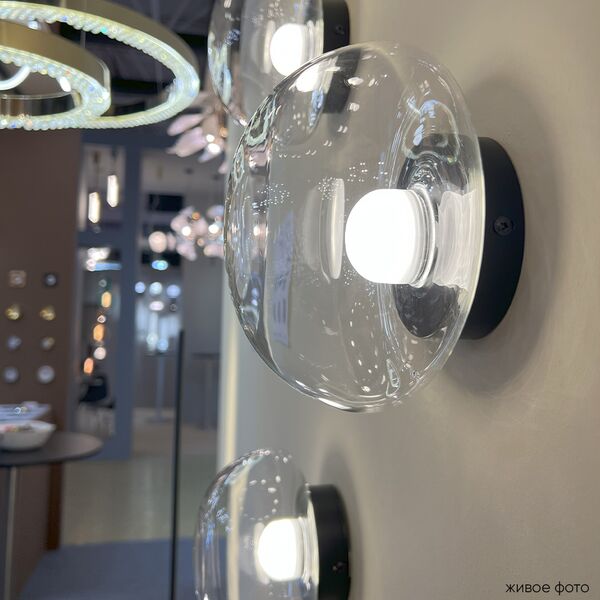 ((Бра BOSQUE AP1 BLACK/TRANSPARENT