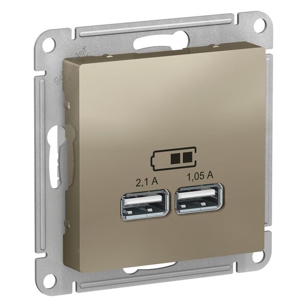 USB РОЗЕТКА, 5В, 1 порт x 2,1 А, 2 порта х 1,05 А, ШАМПАНЬ, ATLAS 1шт