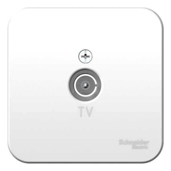 Розетка TV-коннектор изол.пл., белый, о/у, BLANCA (18шт.)