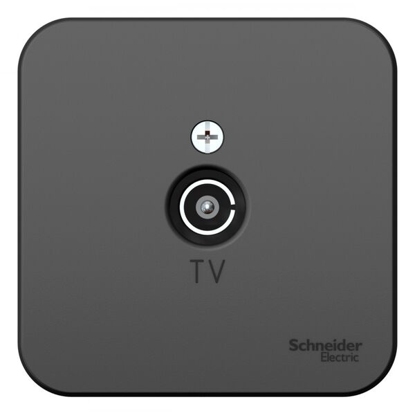 Розетка TV-коннектор изол.пл., антрацит, о/у, BLANCA (18шт)