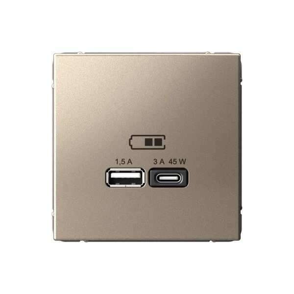 USB РОЗЕТКА A + тип-C 45Вт высокоскор.заряд. QC, PD, механизм, ШАМПАНЬ ARTGALLERY