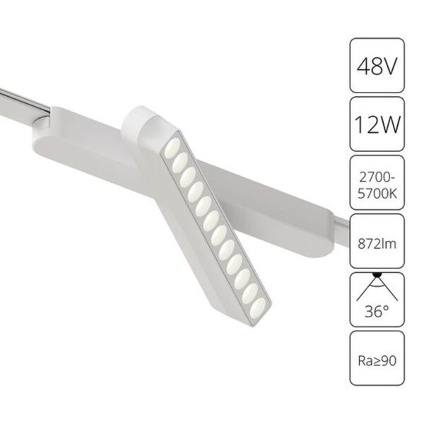 ((A2961PL-1WH СВЕТИЛЬНИК ПОТОЛОЧНЫЙ RAPID 48В 12Вт макс 872лм 2700-6000К 95+ 36° smart ARTE LAMP