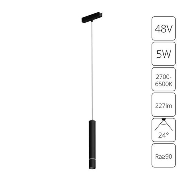 ((A2959PL-1BK СВЕТИЛЬНИК ПОДВЕСНОЙ RAPID 48В 5Вт макс 227лм 2700-6000К 95+ 24° smart ARTE LAMP