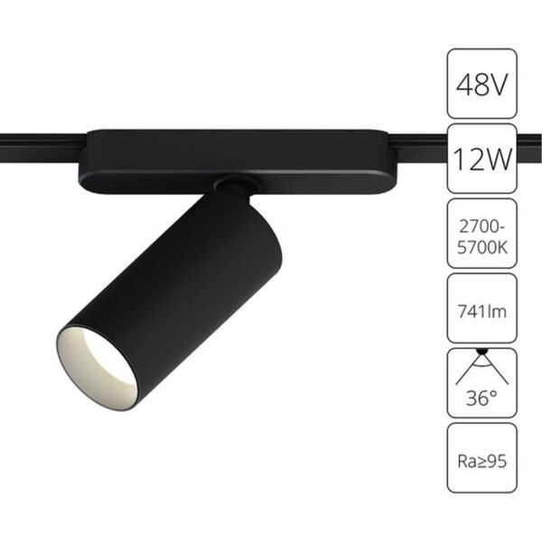 ((A2958PL-1BK СВЕТИЛЬНИК ПОТОЛОЧНЫЙ RAPID 48В 12Вт макс 741kv 2700-6000К 95+ 36° smart ARTE LAMP