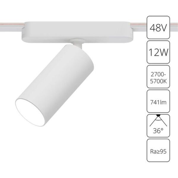 ((A2958PL-1WH СВЕТИЛЬНИК ПОТОЛОЧНЫЙ RAPID 48В 12Вт макс 741kv 2700-6000К 95+ 36° smart ARTE LAMP