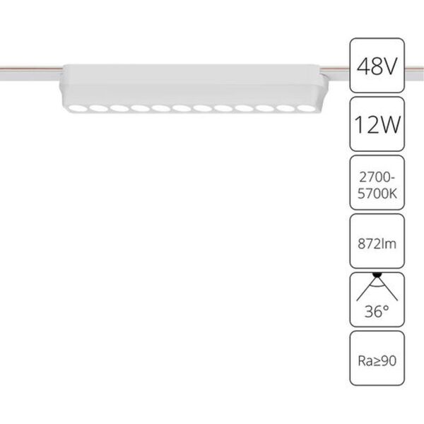 ((A2954PL-1WH СВЕТИЛЬНИК ПОТОЛОЧНЫЙ RAPID 48В 12Вт макс 872лм 2700-6000К 95+ 36° smart ARTE LAMP