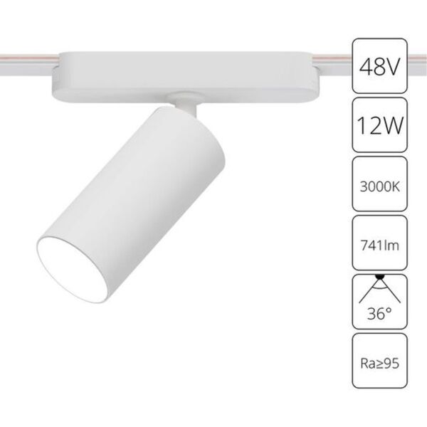 ((A1158PL-1WH СВЕТИЛЬНИК ПОТОЛОЧНЫЙ RAPID 48В 12Вт 741kv 3000К 95+ 36° ARTE LAMP