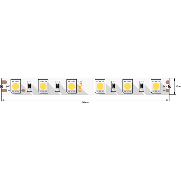 SWG560-24-14.4-W-МЛента светодиодная стандарт 5050, 60 LED/м, 14,4 Вт/м, 24В , IP20, Цвет: Холодный белый