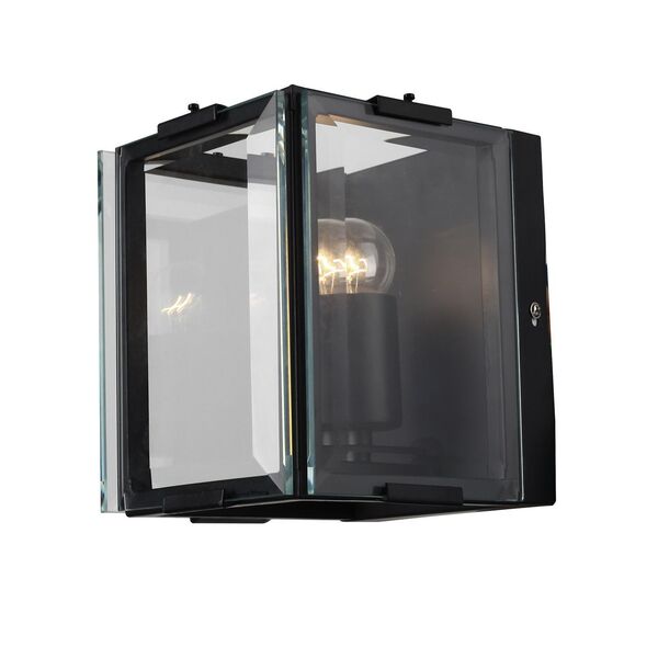 Настенный светильник ST Luce Peltro [Черный/Прозрачный E27 1*60W]