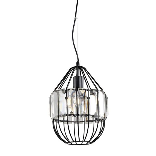 Подвес ST-Luce Ricordi [Черный/Черный, Прозрачный E27 1*60W]