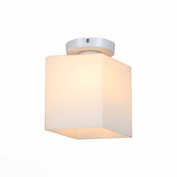 Светильник настенно-потолочный ST-Luce[ Белый/Белый E27 1*60W]