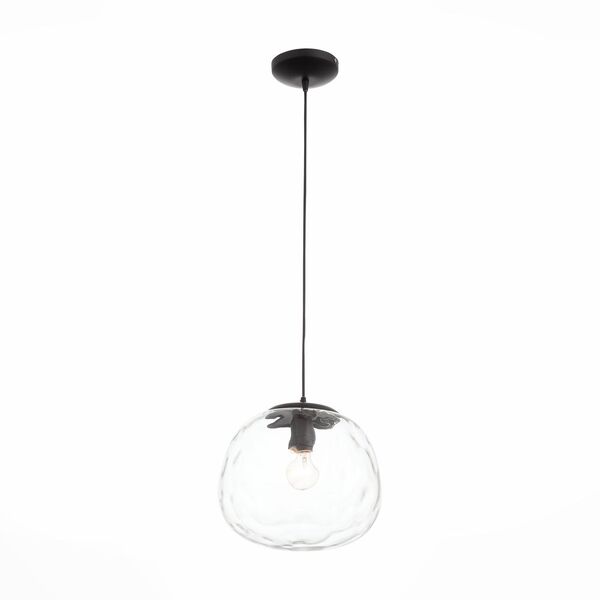 Подвесной светильник ST Luce Buccia [Черный/Прозрачный E27 1*60W]