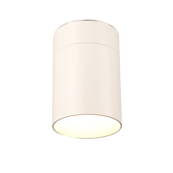 CEILING 1L  WHITE