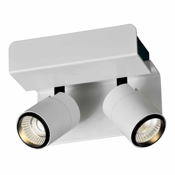 SPOT SURFACE MOUNTED 2L  [MATT WHITE]
