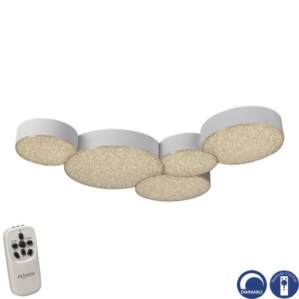 CEILING LAMP - DIMMABLE WHITE