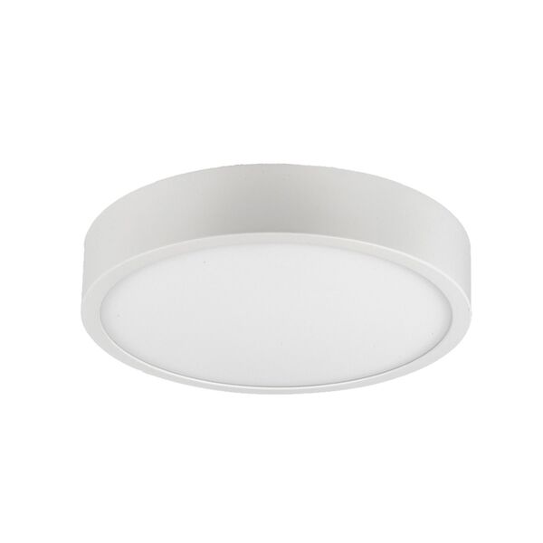 LED DOWNLIGHT [30W 3000K ROUND MATT WHITE]