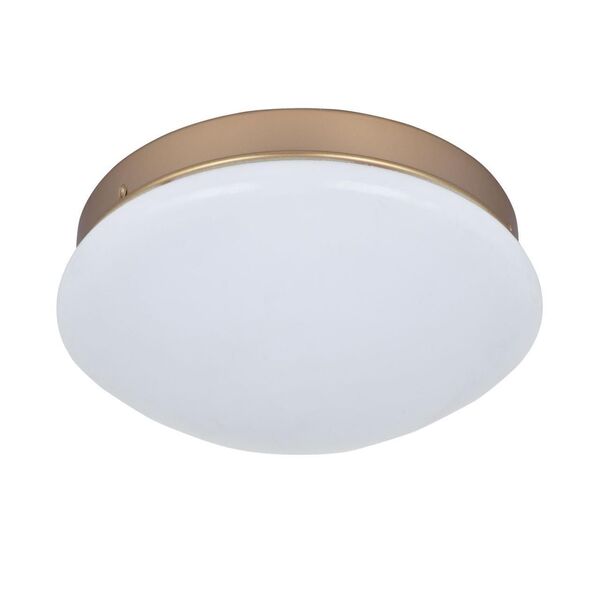 потолочный светильник Ledante [D130*H50 1*LED*12W, 420LM, 4000K, included]