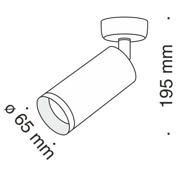 C017CW-01W