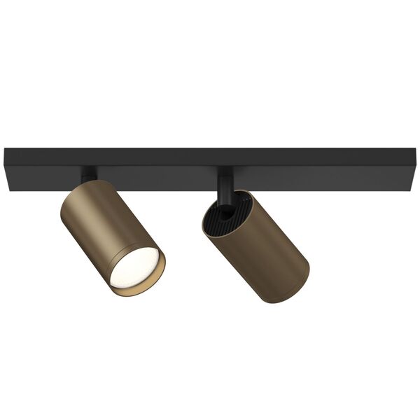 Потолочный светильник Technical C051CL-02BBZ