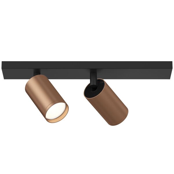 Потолочный светильник Technical C051CL-02BC