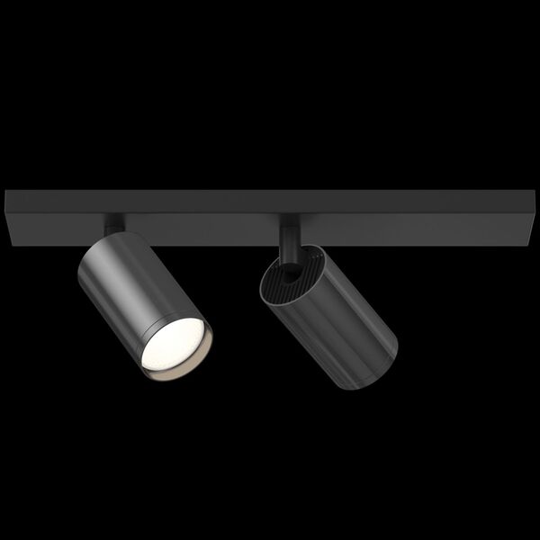 Потолочный светильник Technical C051CL-02BGF